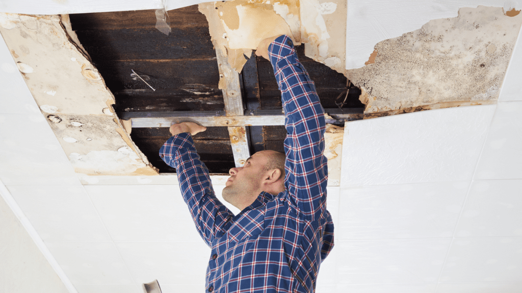 Drywall Services in Seabrook, TX