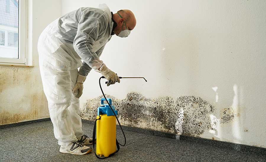 Mold Mitigation in Bacliff, TX